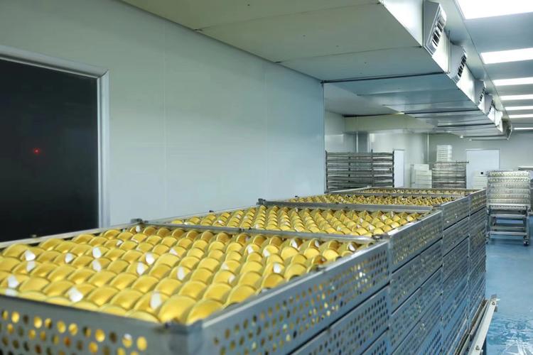 销售,食用农产品零售等为主营业务的企业